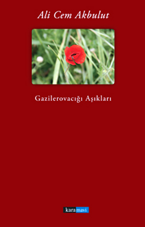 This image for Image Layouts addon