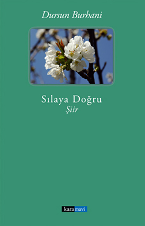 This image for Image Layouts addon