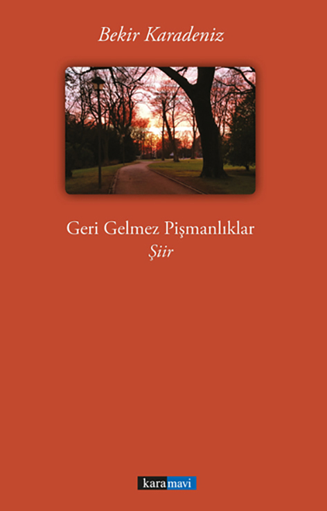 This image for Image Layouts addon