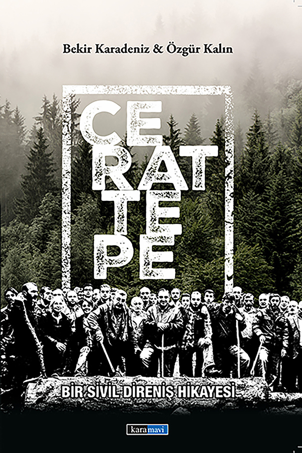 This image for Image Layouts addon