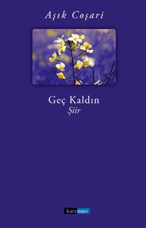 This image for Image Layouts addon