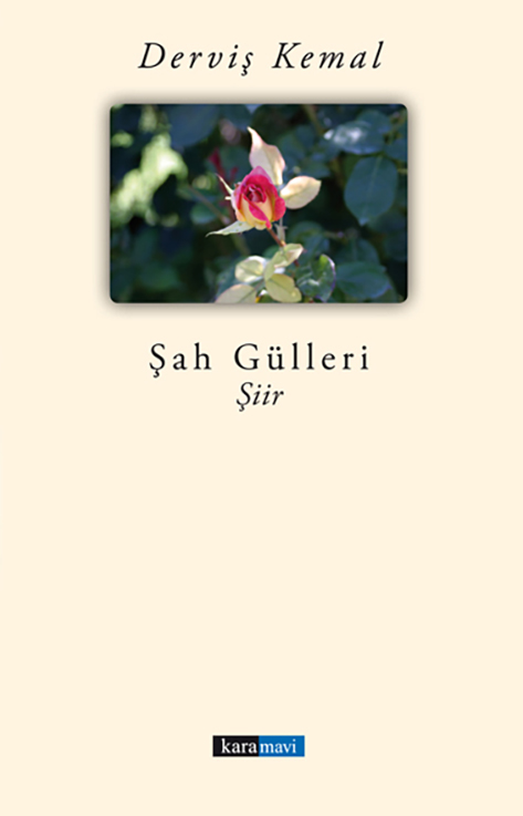 This image for Image Layouts addon