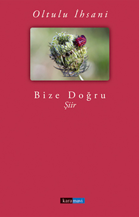 This image for Image Layouts addon