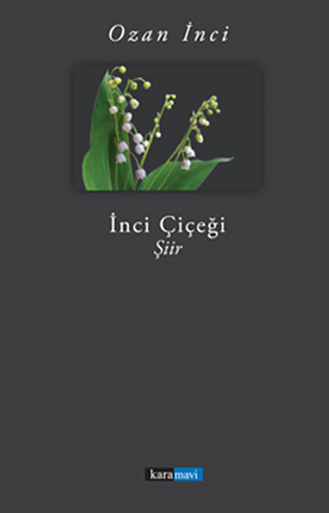 This image for Image Layouts addon