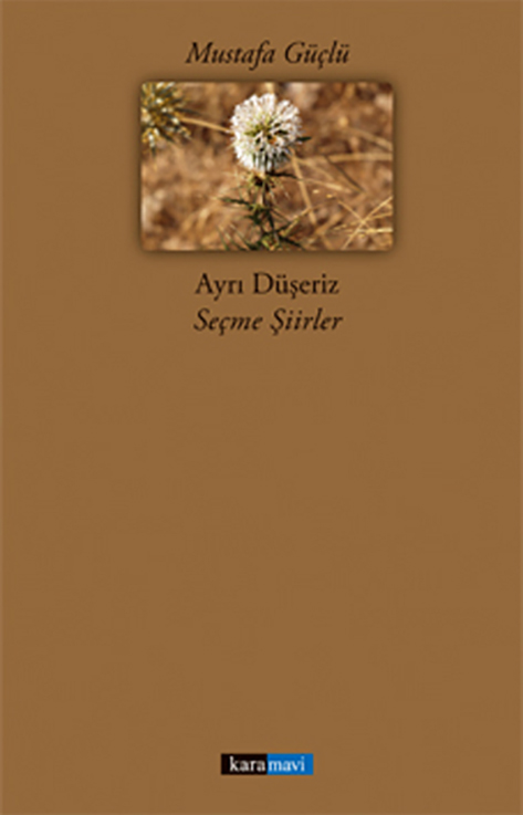 This image for Image Layouts addon