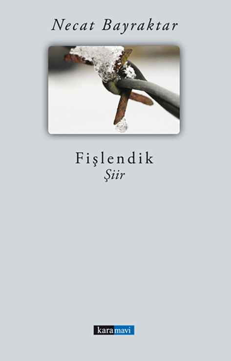 This image for Image Layouts addon