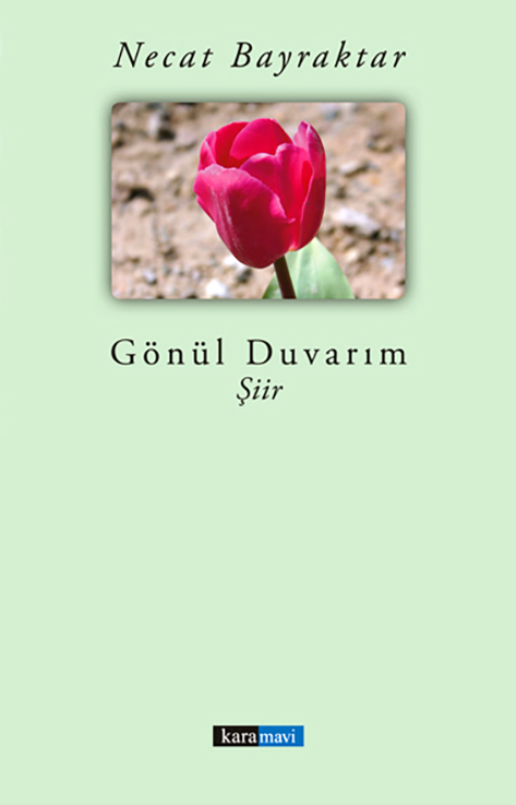 This image for Image Layouts addon