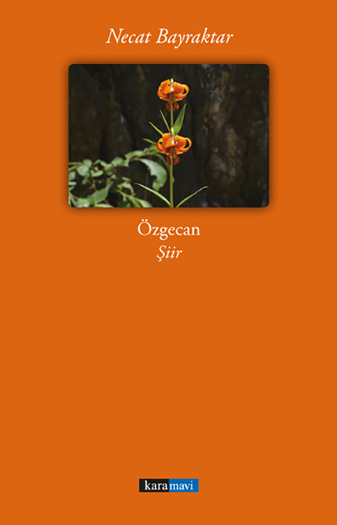 This image for Image Layouts addon