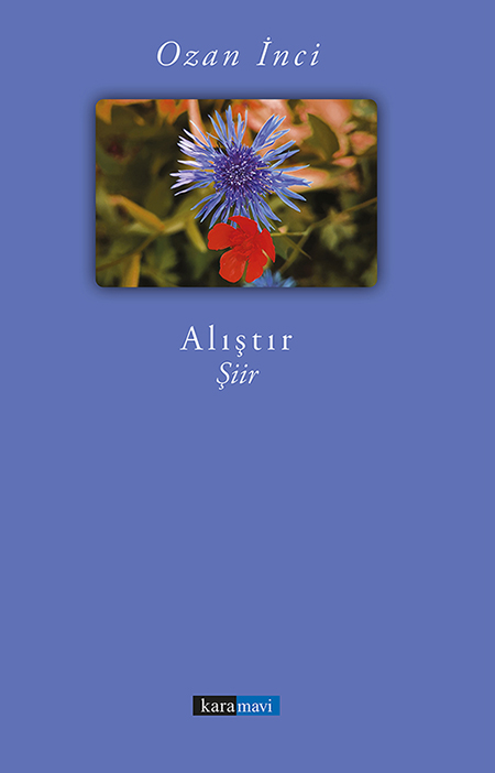 This image for Image Layouts addon