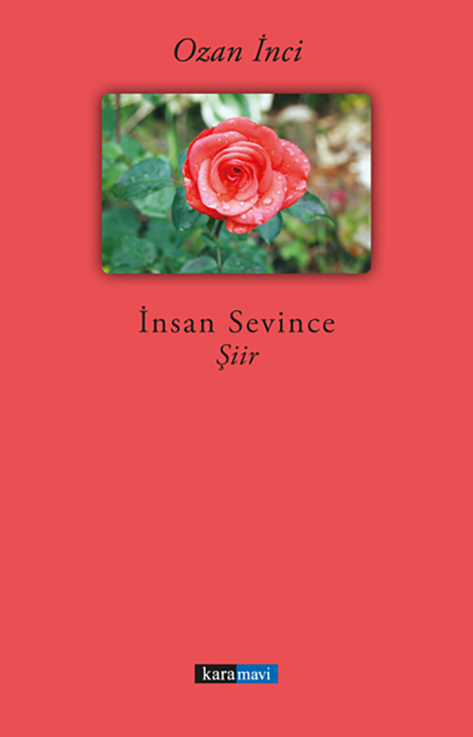 This image for Image Layouts addon