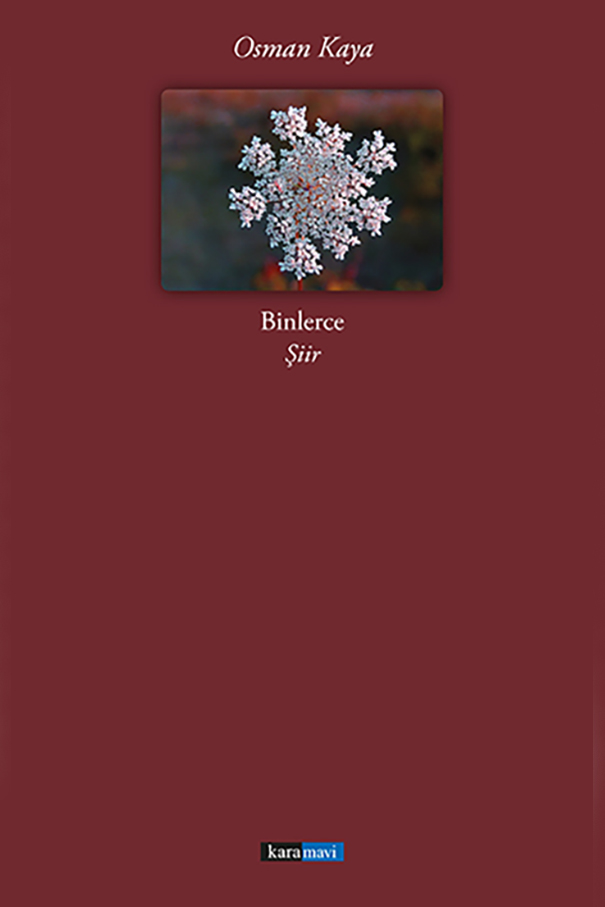 This image for Image Layouts addon