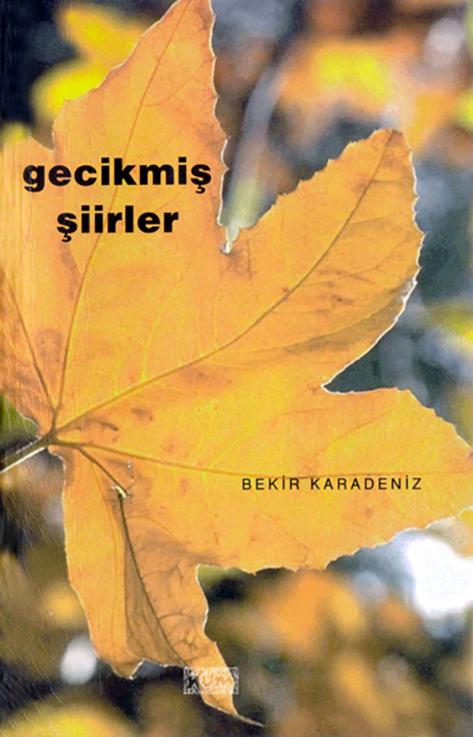 This image for Image Layouts addon