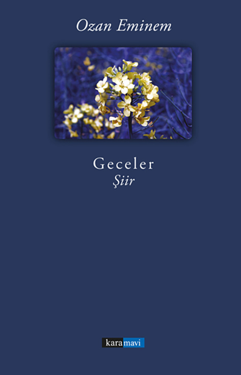 This image for Image Layouts addon