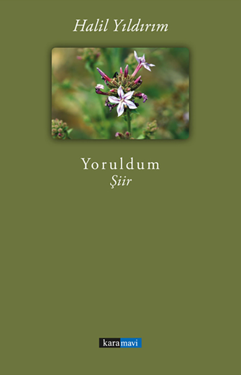 This image for Image Layouts addon