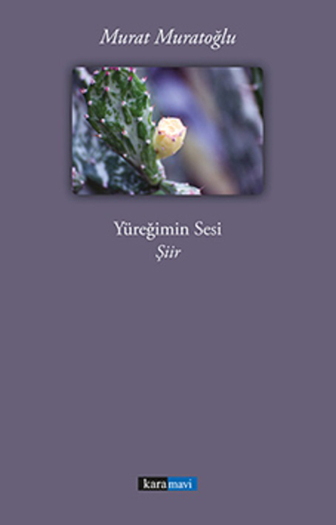 This image for Image Layouts addon