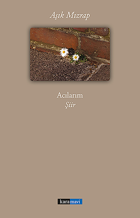 This image for Image Layouts addon