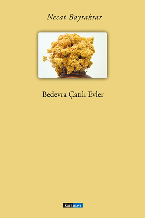 This image for Image Layouts addon