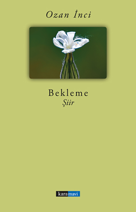 This image for Image Layouts addon