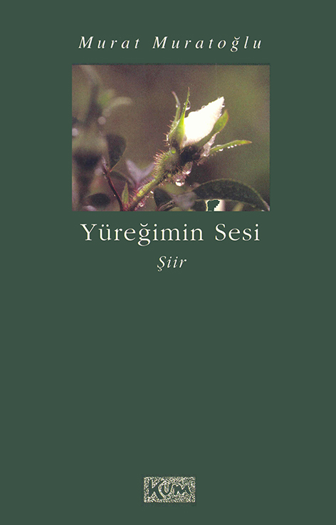 This image for Image Layouts addon