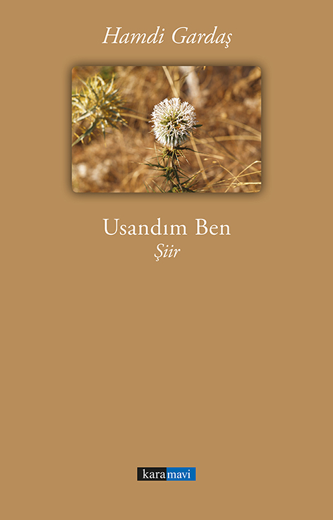 This image for Image Layouts addon