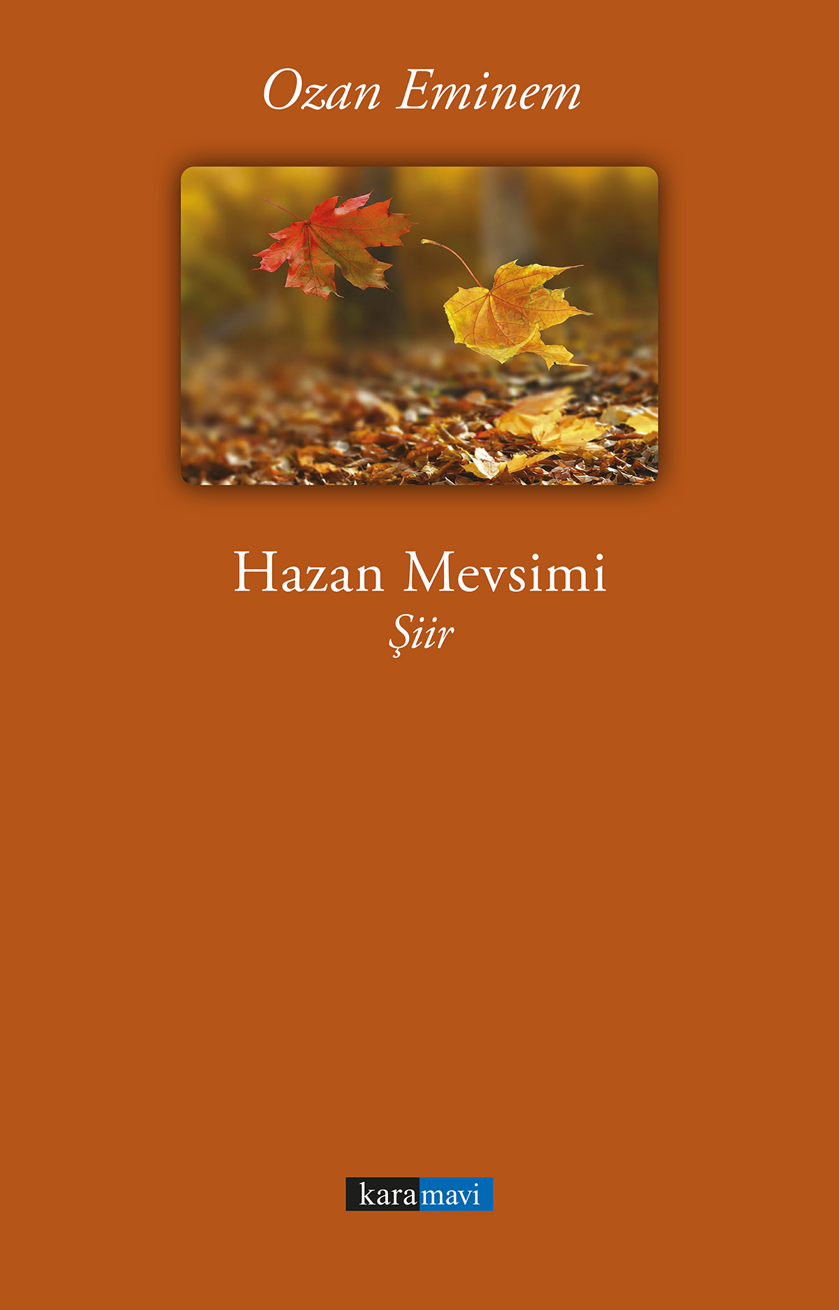 This image for Image Layouts addon